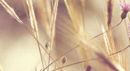 扣扣群名称唯美好听（扣扣群名称唯美好听霸气）