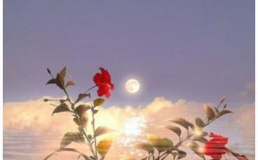 稀少好听的二字ID（稀少好听的二字id男生）