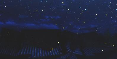 微信昵称大全2020（微信昵称大全2020发财）